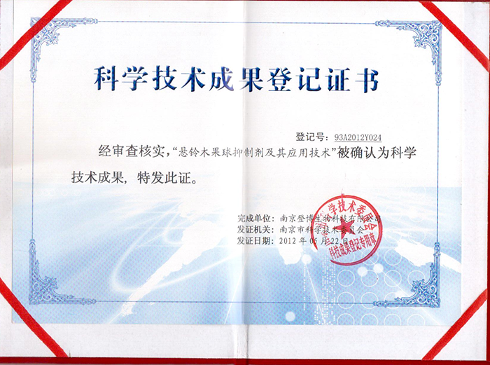 公司榮譽(yù)
