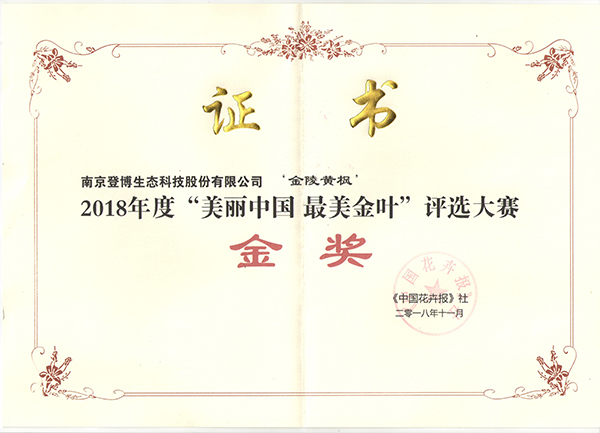 公司榮譽(yù)